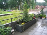 Tuin 11